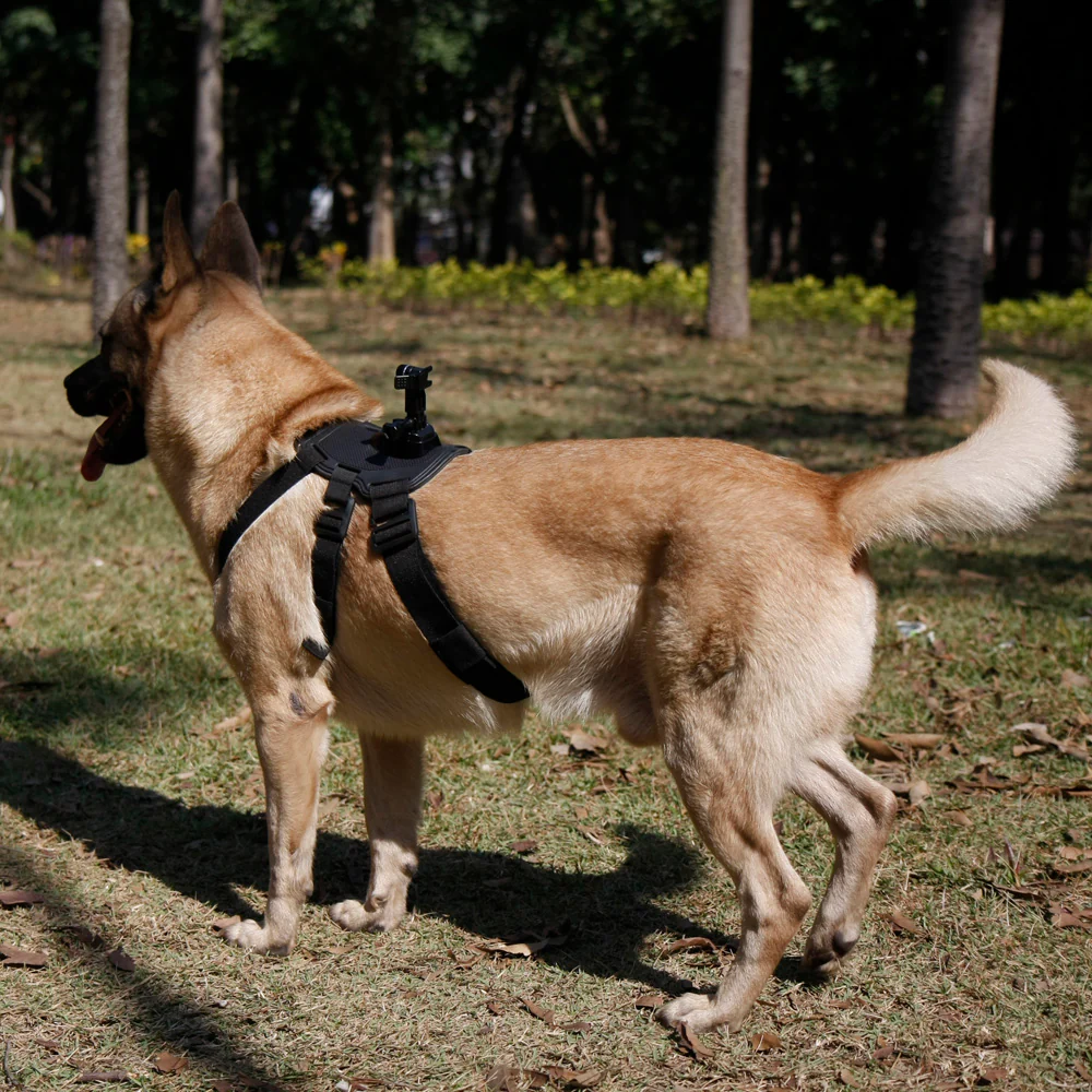 X28K | Dog harness mount | TYPE-K for Active KEY - Image 3