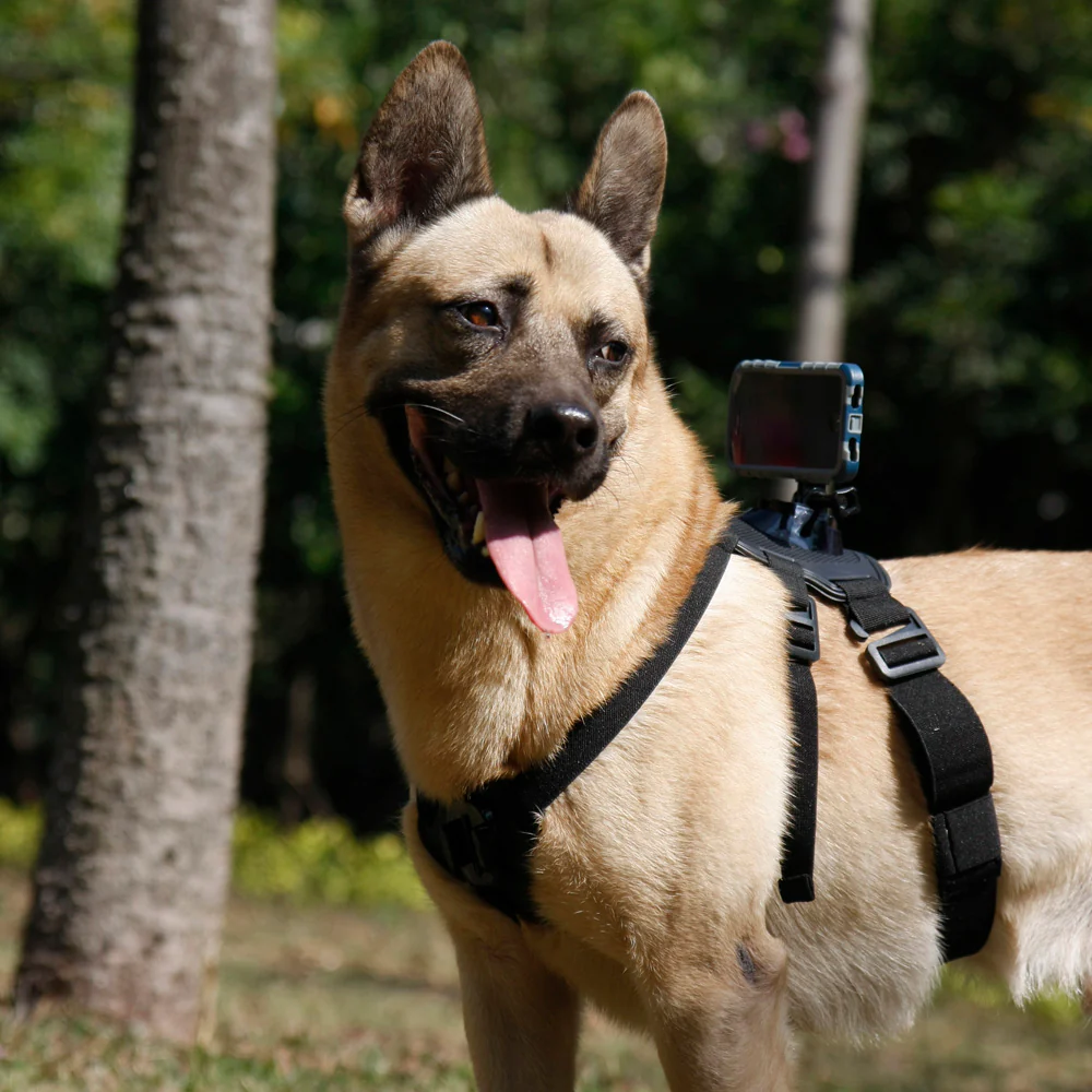 X28K | Dog harness mount | TYPE-K for Active KEY - Image 4
