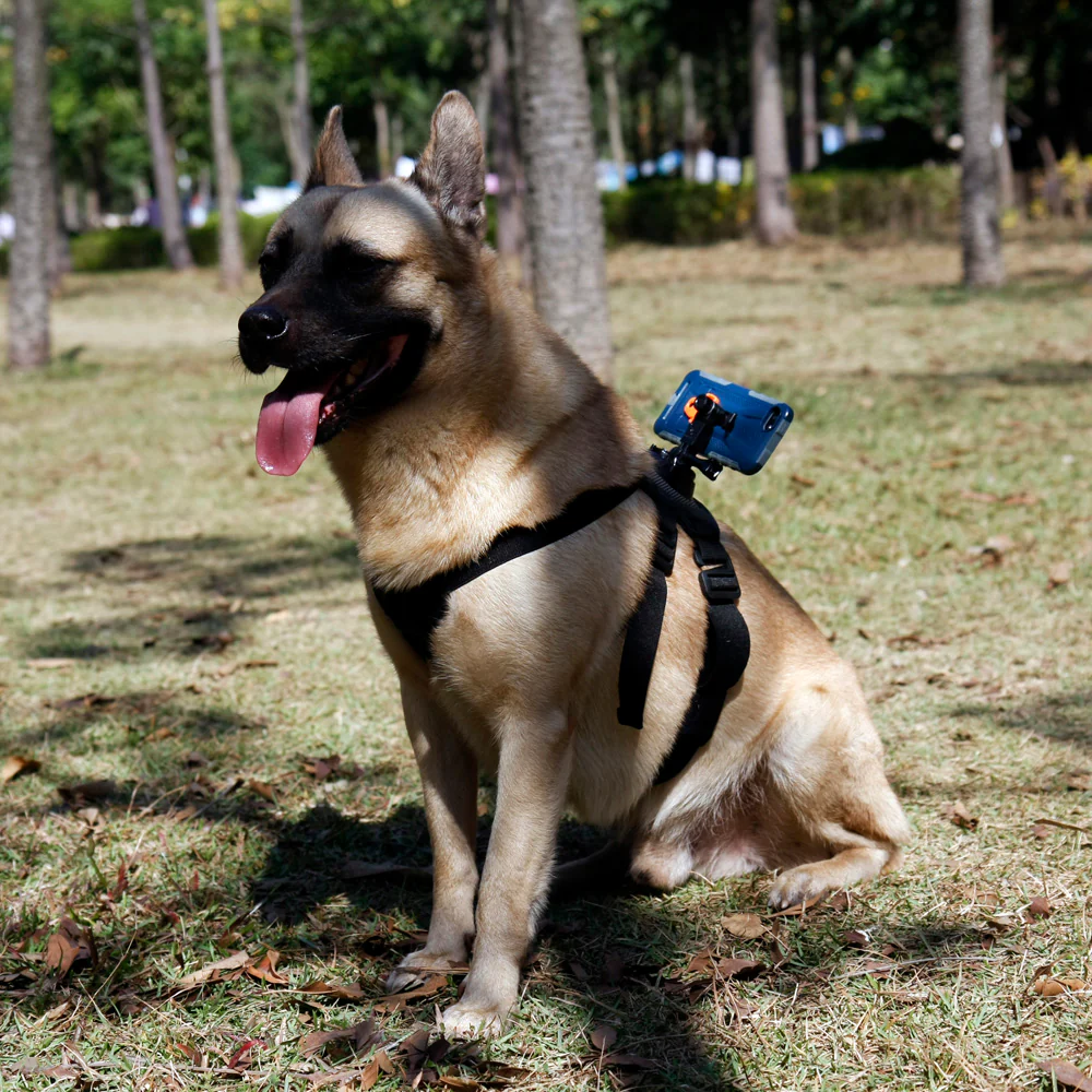 X28K | Dog harness mount | TYPE-K for Active KEY - Image 5